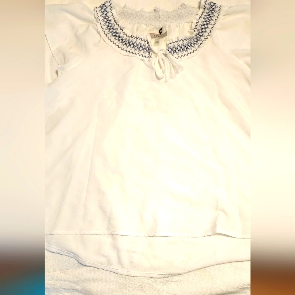 White Blouse with Smocked Blue Embroidered Collar Cupio